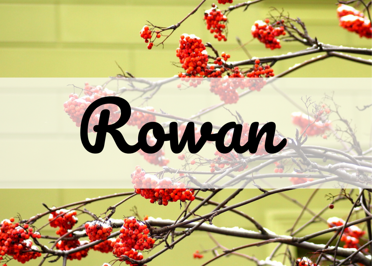 30+ February Baby Name Ideas for Girls and Boys WeHaveKids