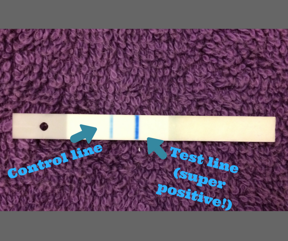 Positive Clearblue Digital test strip with two lines.