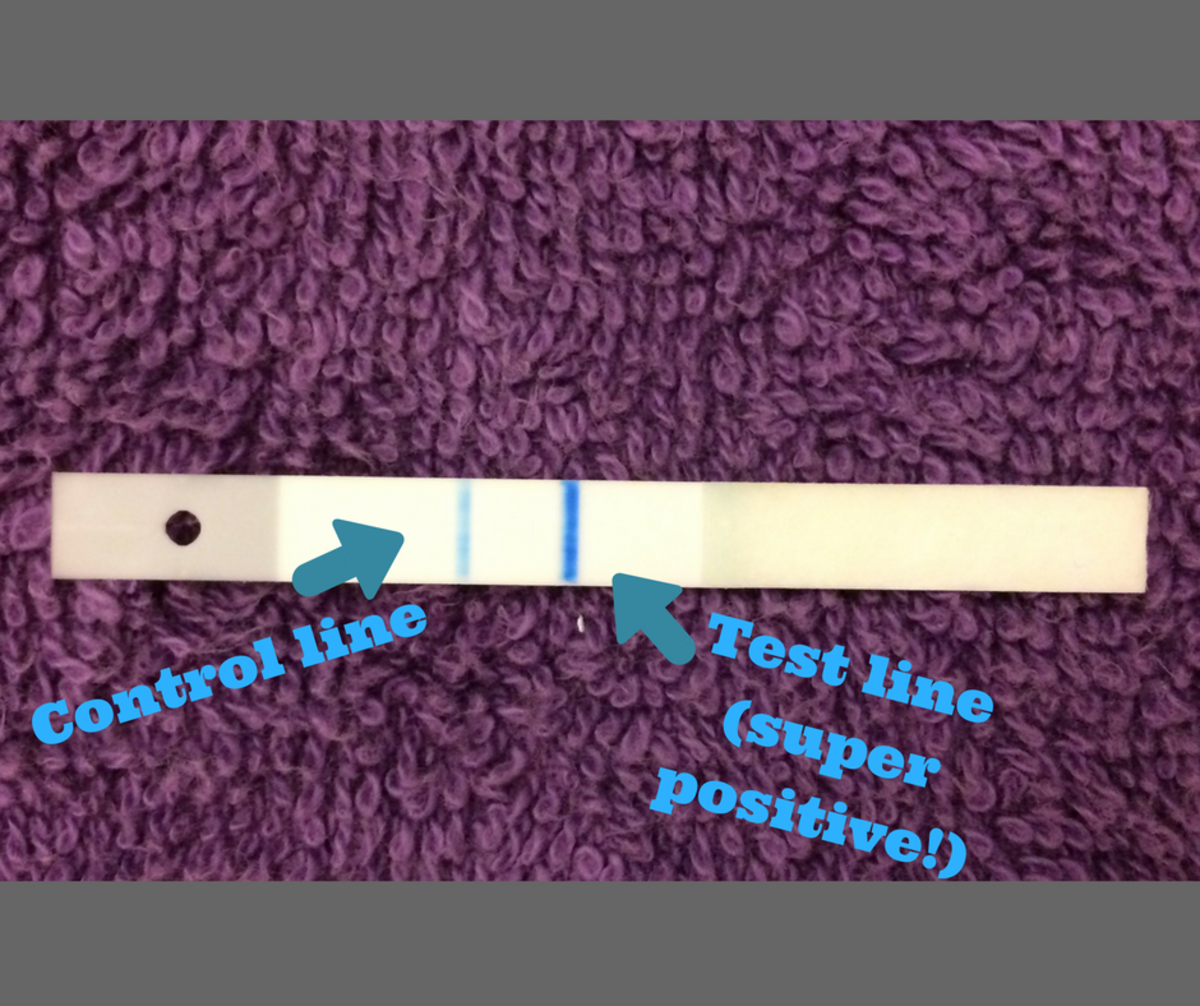 What Does The Inside Of A Clearblue Digital Test Look Like WeHaveKids