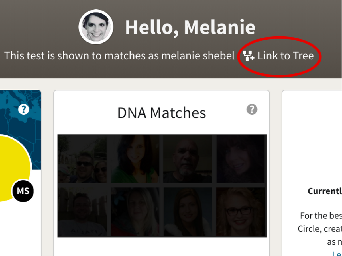 link-dna-to-family-tree