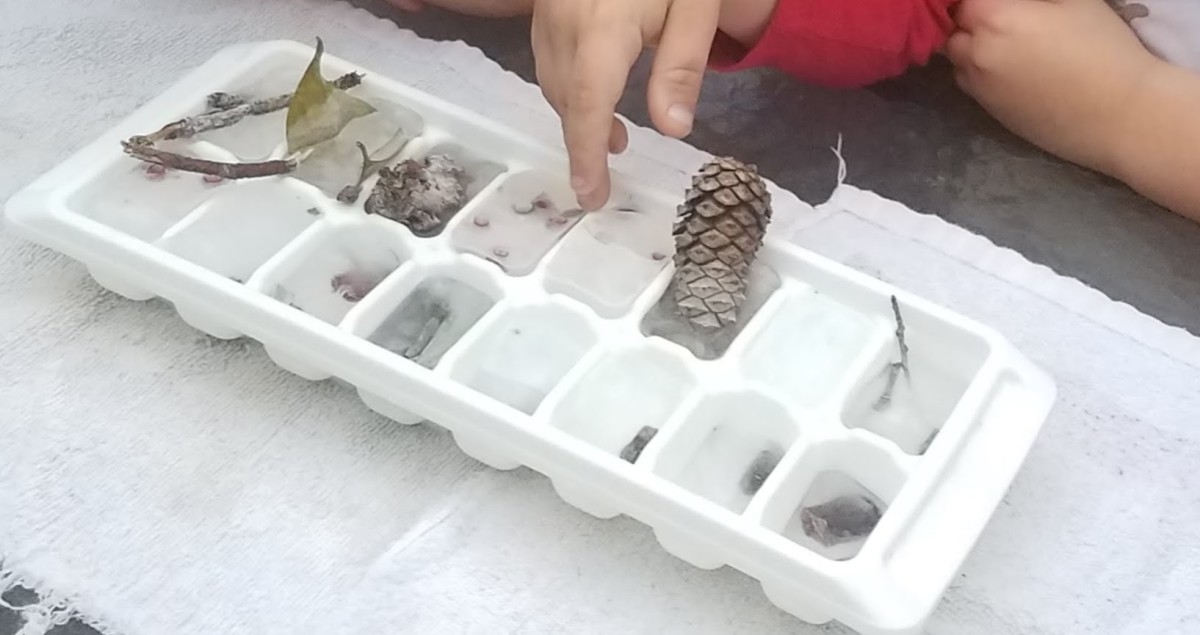 A tray full of nature walk ice cubes. You can also make ice cubes filled with small toys.