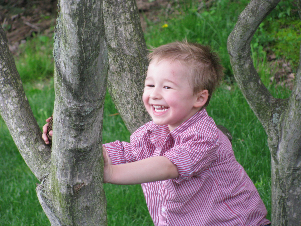 Climbing shorter trees can be fun for kids!