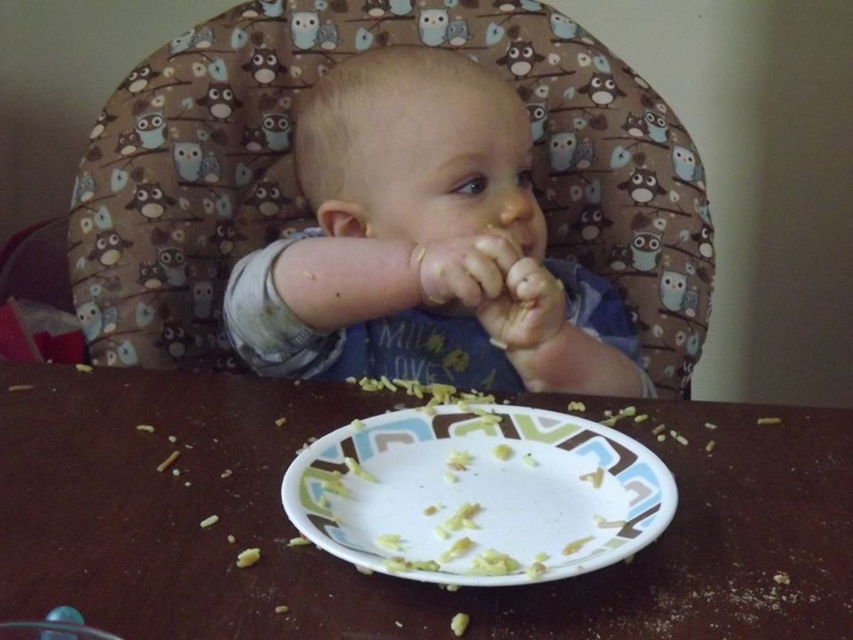 Teaching Sign Language to Babies and Toddlers Myths, Truths, and