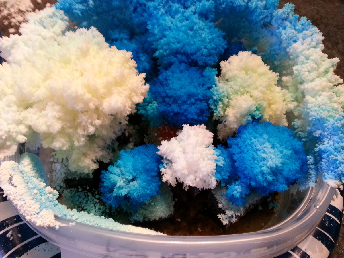 Put food coloring in different places to have both white and blue flowering crystals.