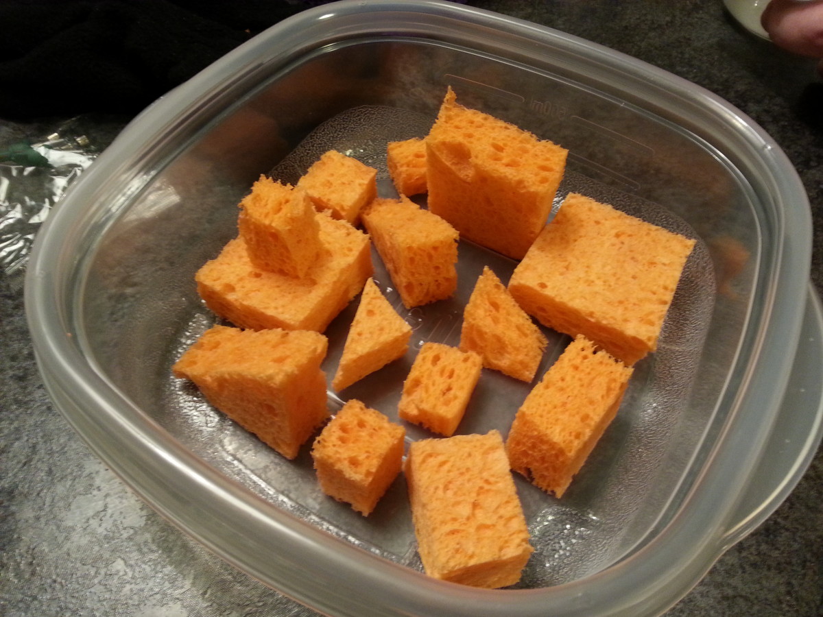 Sponges arranged in the plastic container.