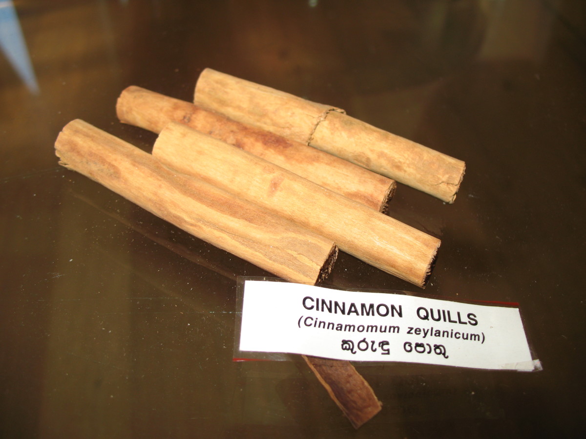 Cinnamon Quills (Cinnamomum Zeylanicum)