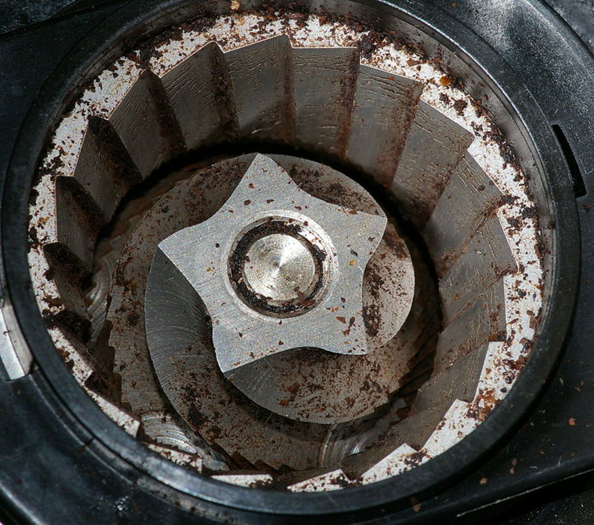 Easy To Clean Conical Burr Grinder At Aron Desrochers Blog