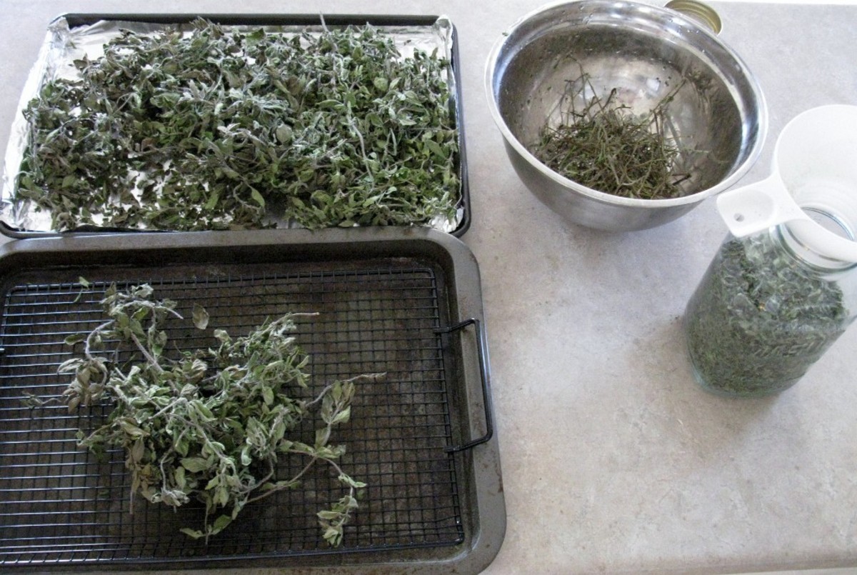 Tips & Tricks for Drying Herbs in a Convection Oven Delishably