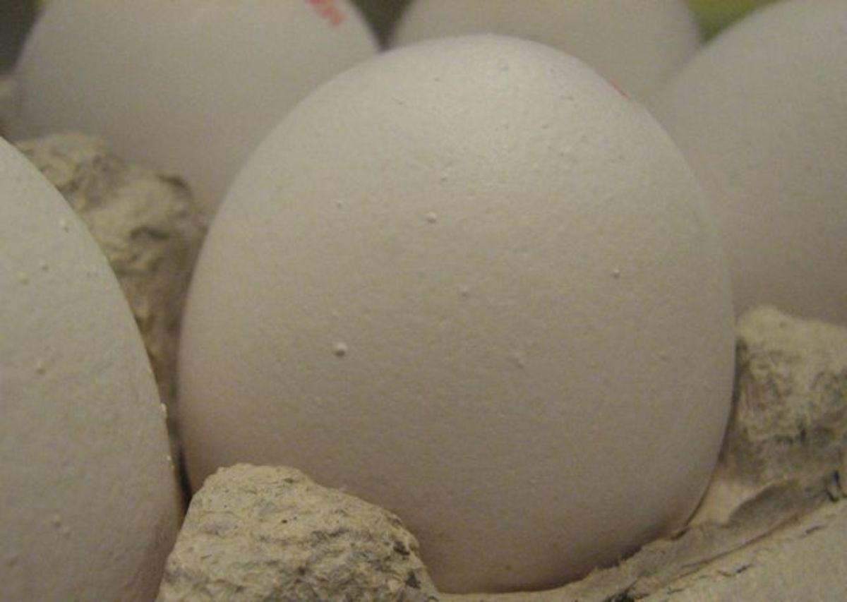 Eggshells are porous and can absorb odors from other nearby foods. 