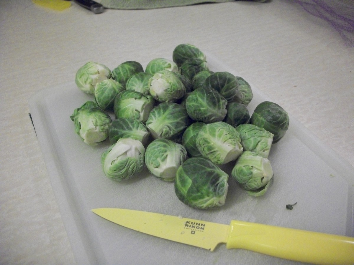 Parmesan Brussels Sprouts Recipe Delishably