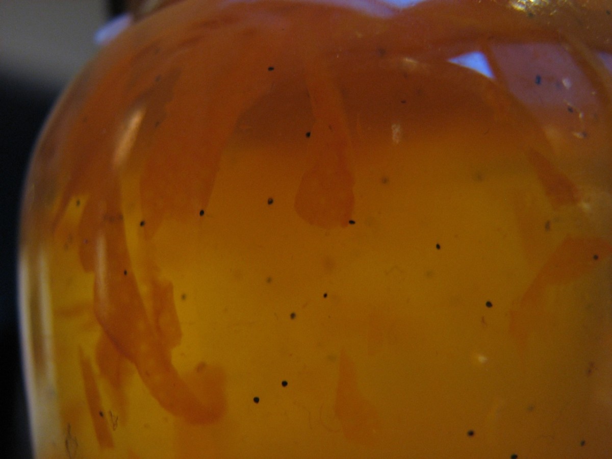 Orange syrup, with a few slivers of peel, flecked with vanilla seeds.