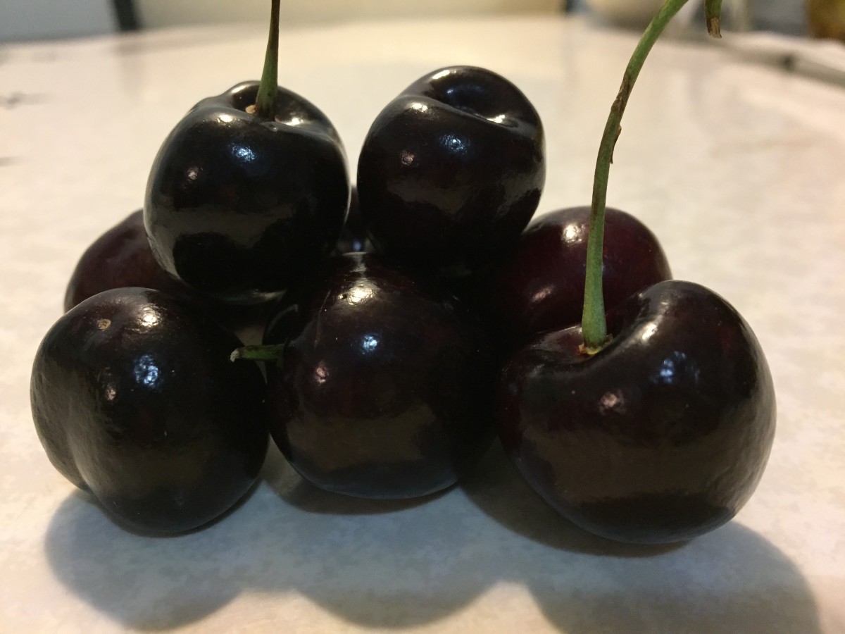 Fresh-picked cherries