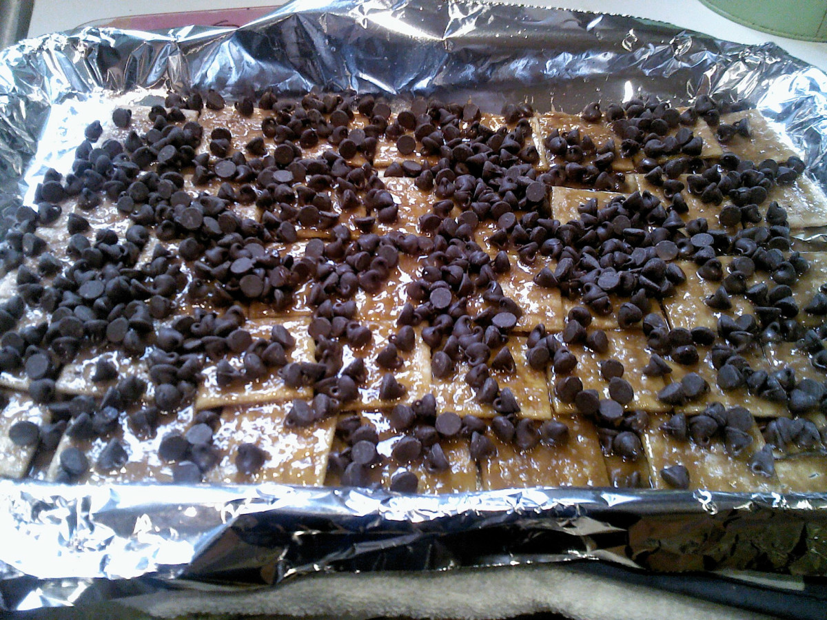 Chocolate chips sprinkled on the crackers