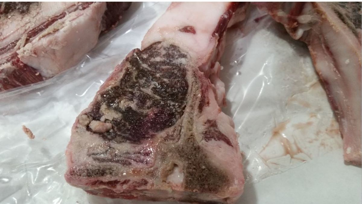 This meat is raw. The dark area is meat. The white areas are bone and fat. 