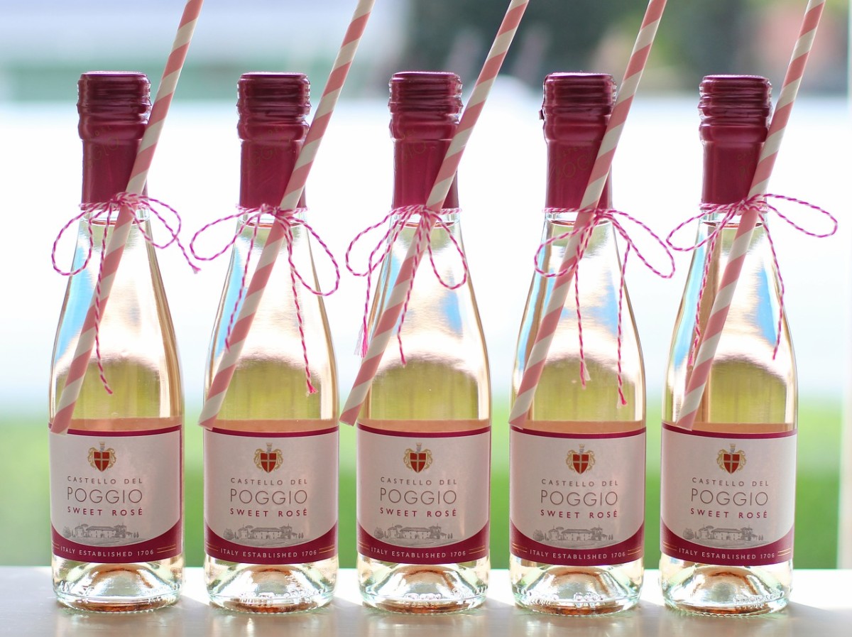 Top 5 Fun Facts Every Champagne Enthusiast Should Know Delishably