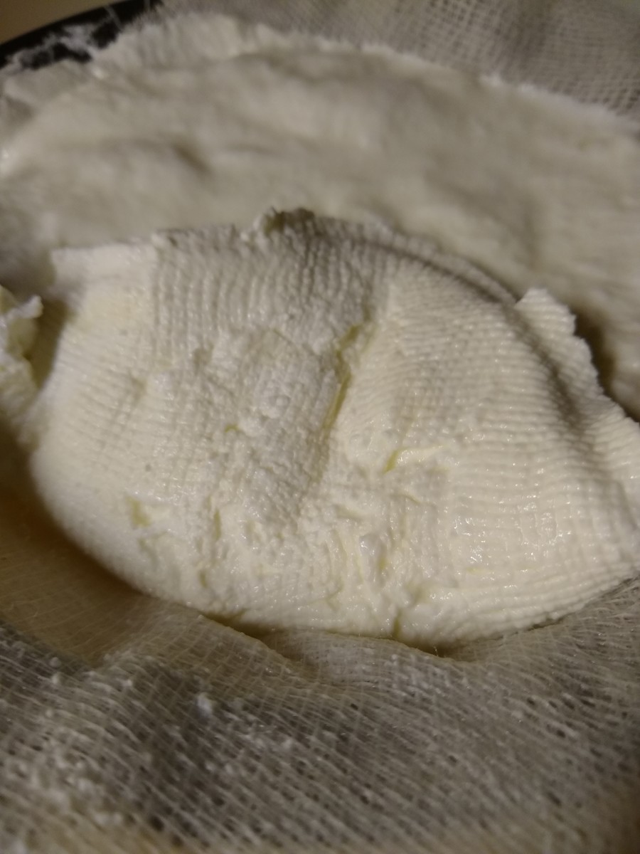 Cheesecloth peeled away from yogurt