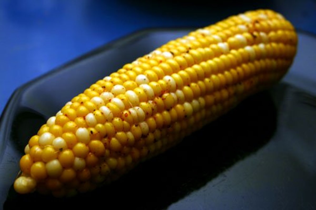 Corn on the cob grilled using this method, de-husked and ready to eat!
