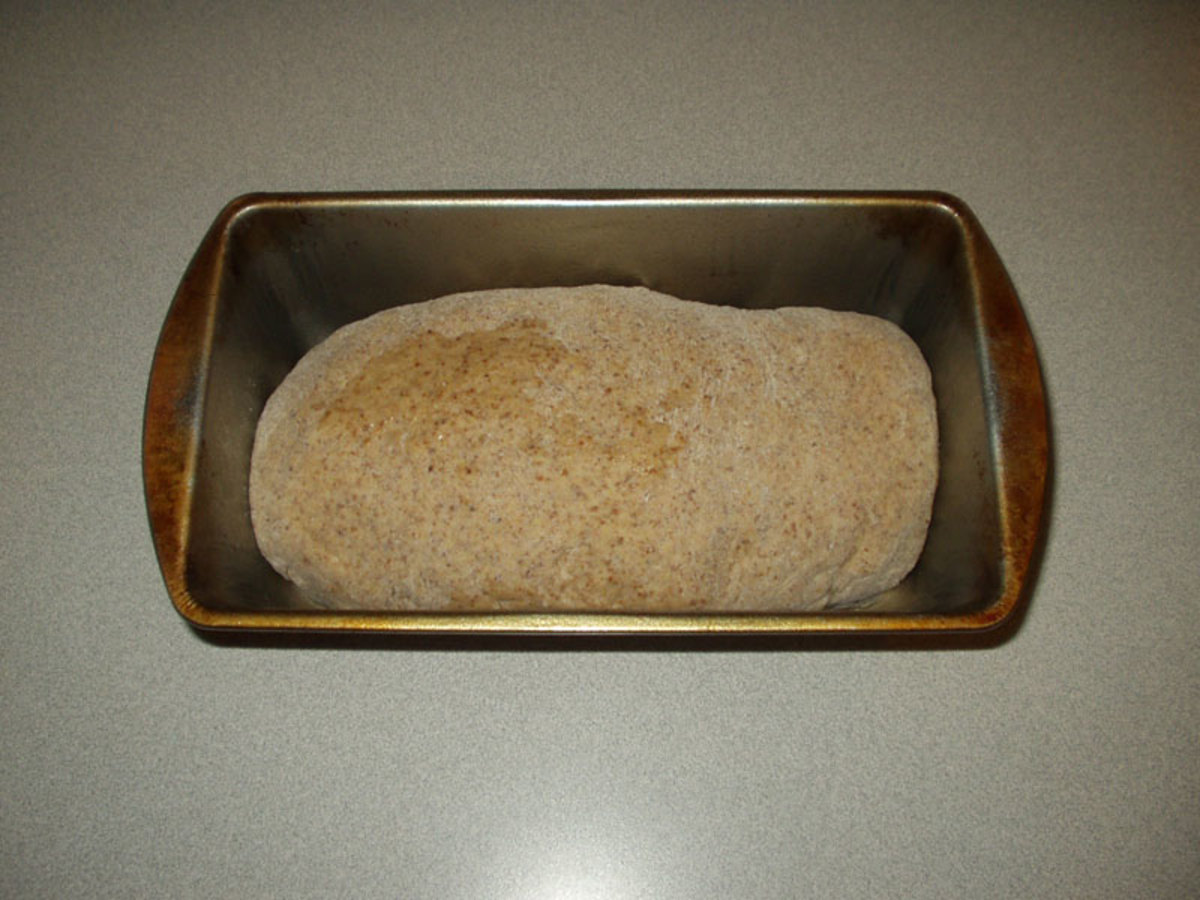 Step 5: Shape into a loaf and put into a greased loaf pan.