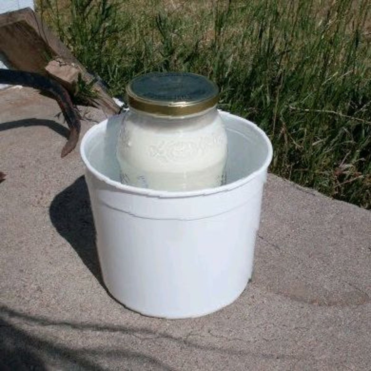 Because I use a big jar on which the lid does not fit very tightly, I cannot lay it down in a cooler. So I rely on hot water, hot cement, and full summer sun. Keep the yogurt at 100* F. or more for it to culture correctly.
