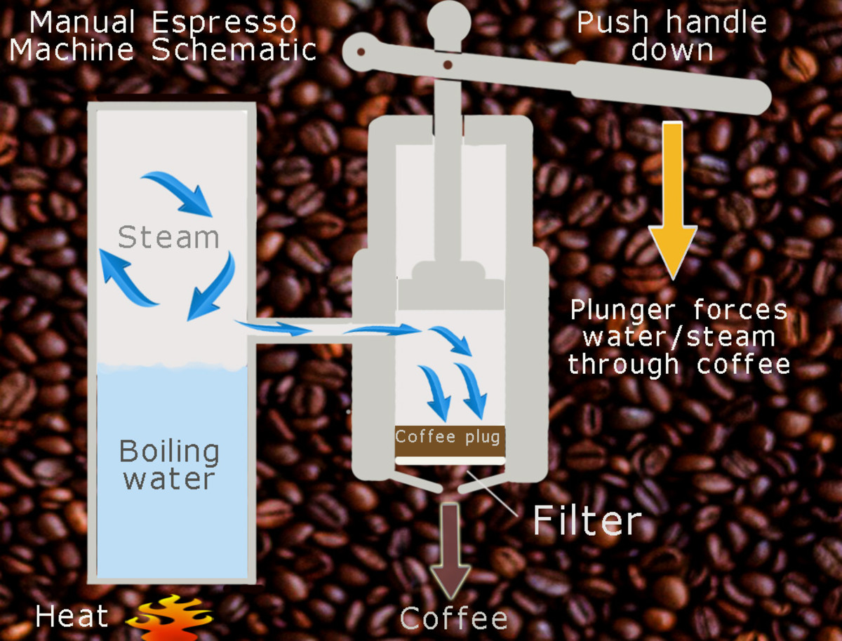 Will Oily Coffee Beans Clog Grinder: Essential Facts and Tips