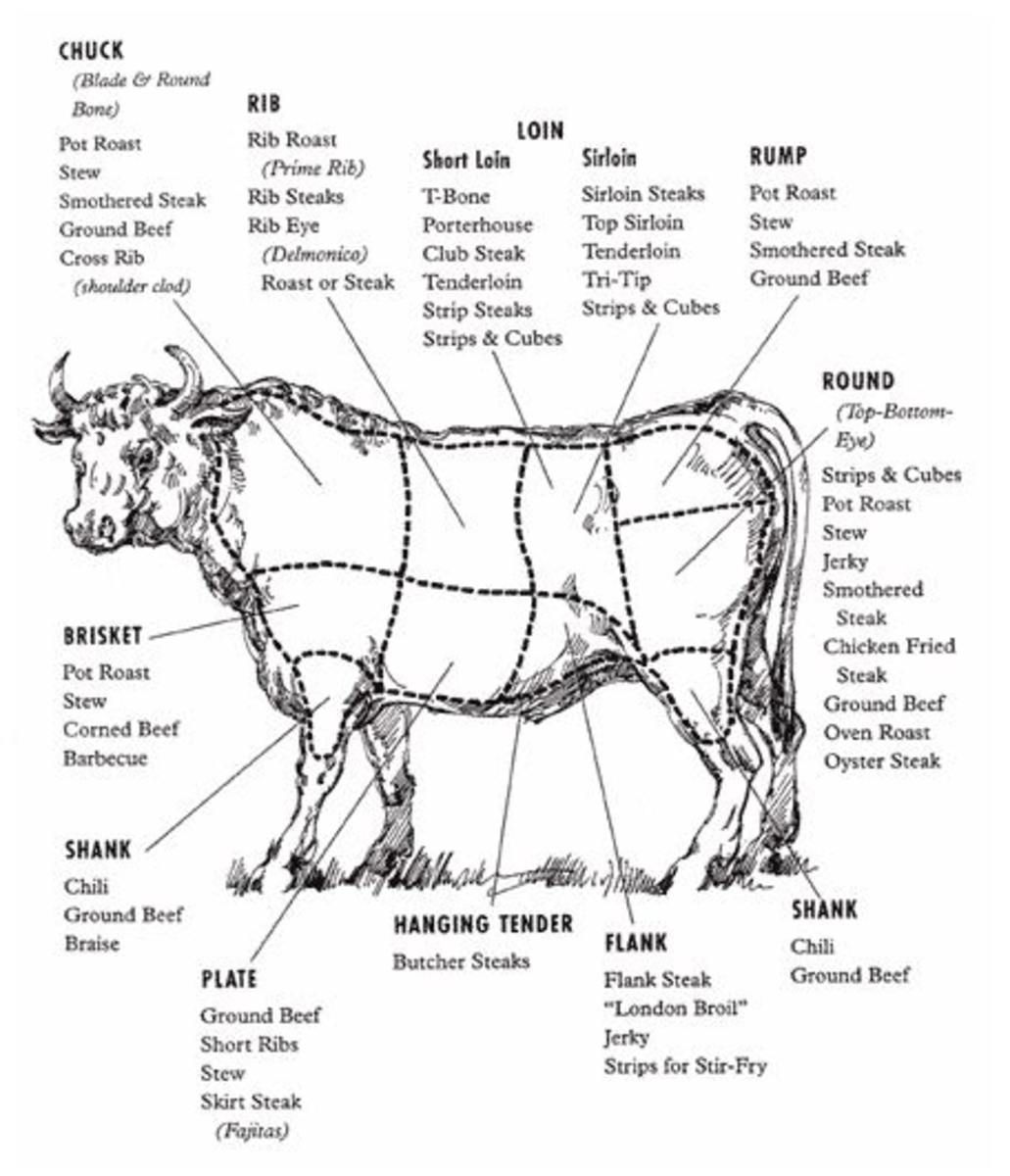 The brisket is from the front part of the cow.