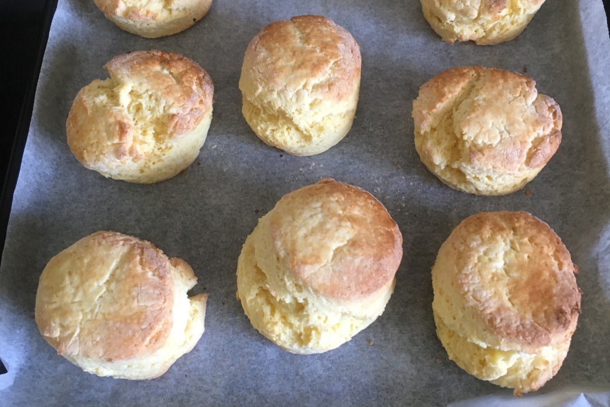 My latest batch of gluten-free scones fresh out of the oven. They smell wonderful too!