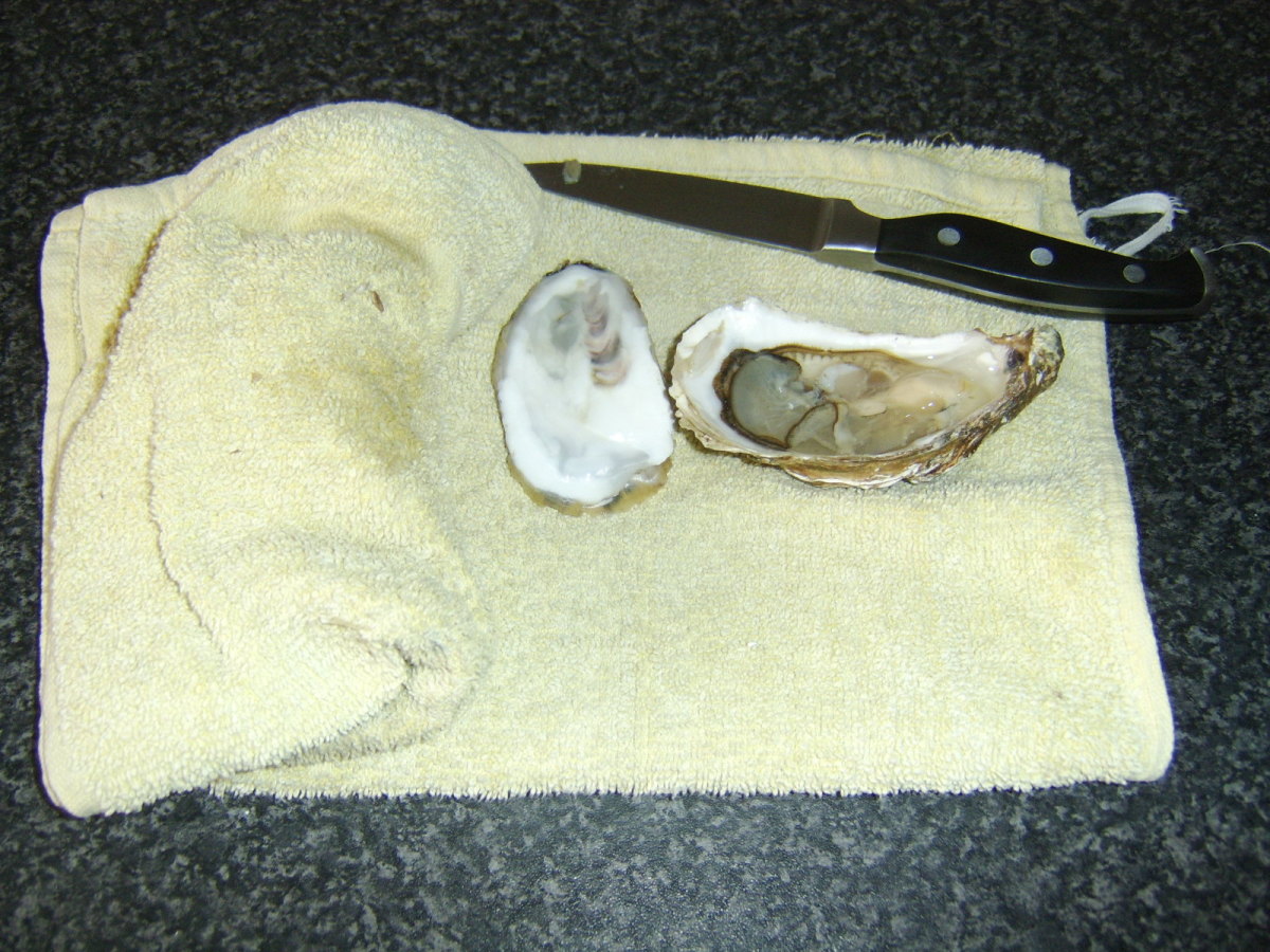 The Best Ways to Eat Oysters (And How to Shuck Them) Delishably