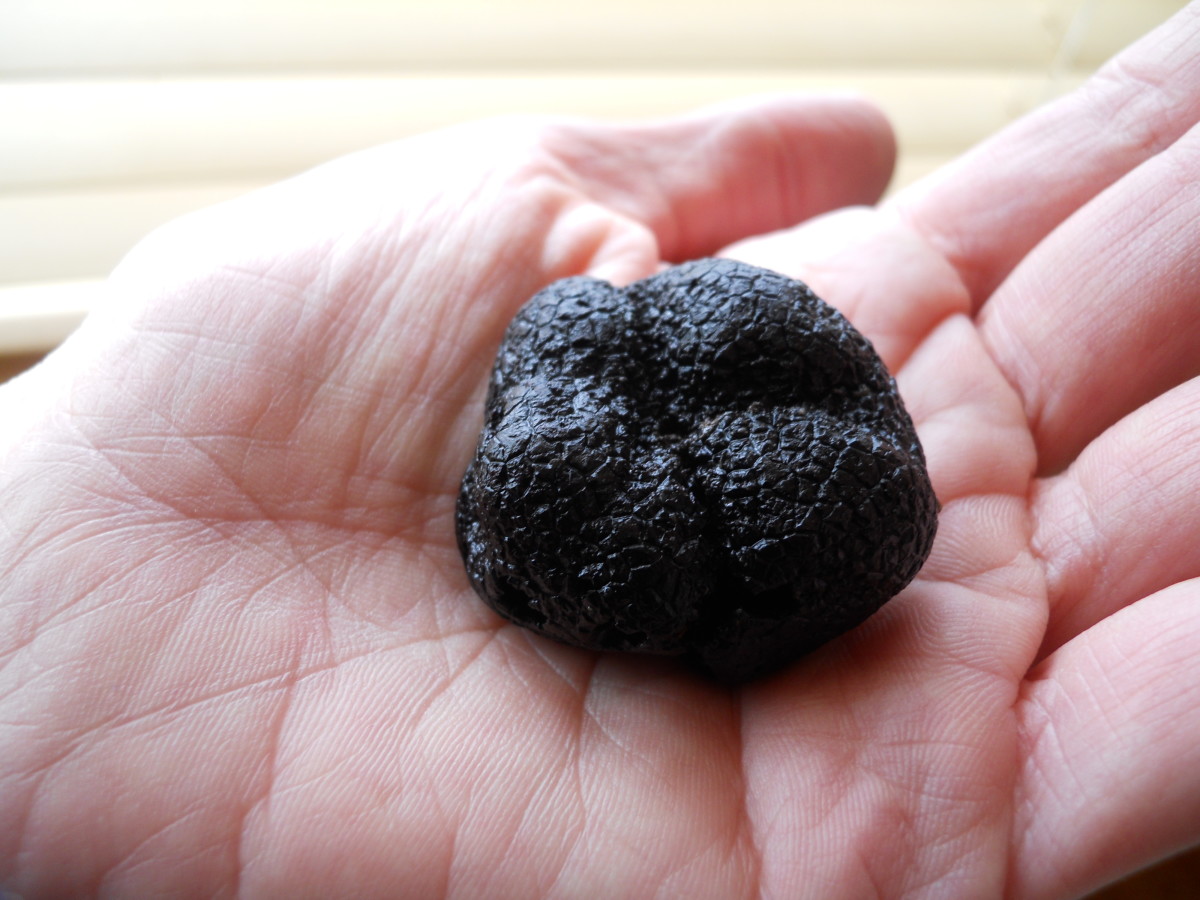 A Black Diamond: This is a black winter truffle from Tuscani.