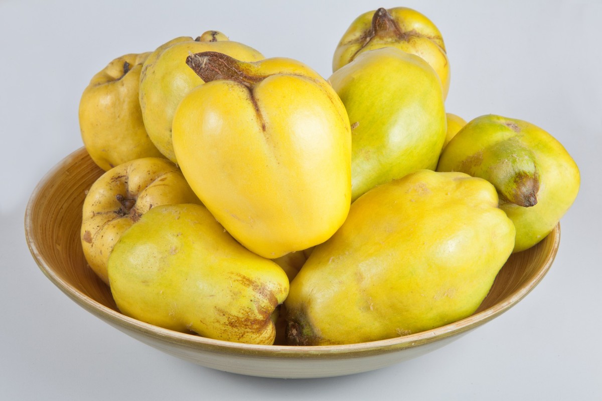 Quinces may not be the most attractive fruits, but they can taste delicious.