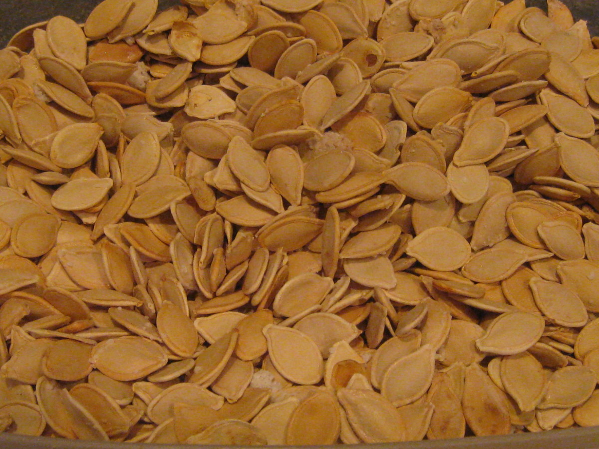 Pumpkin seeds are a tasty snack.