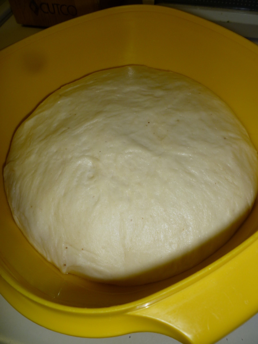 Raised dough after one hour