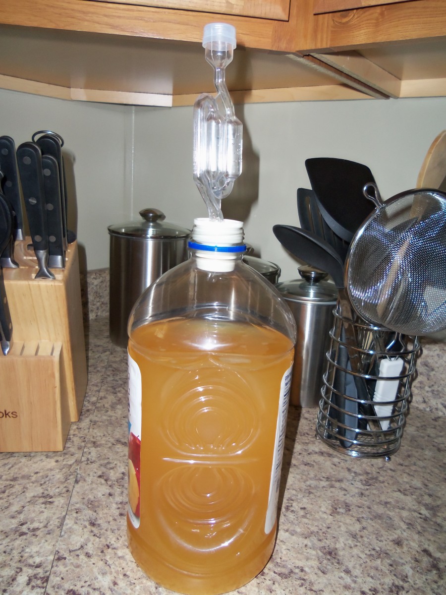 Apple wine with plug and airlock. 