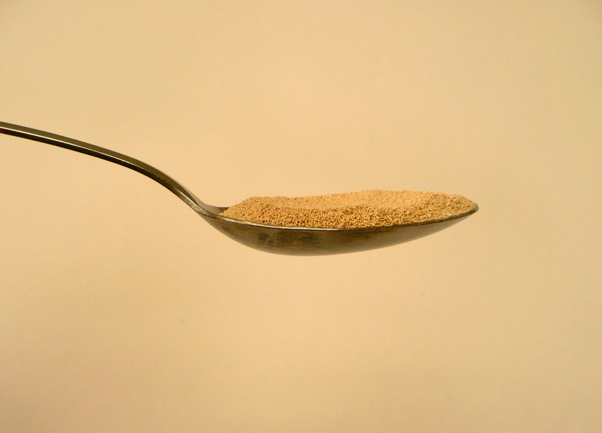 This is how 7 grams of dried yeast looks in a dessert spoon.