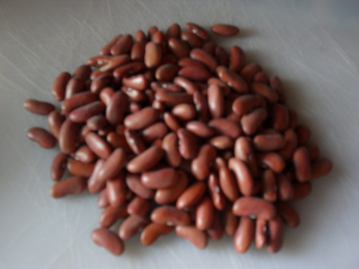 Below are tips on cooking dried beans. 