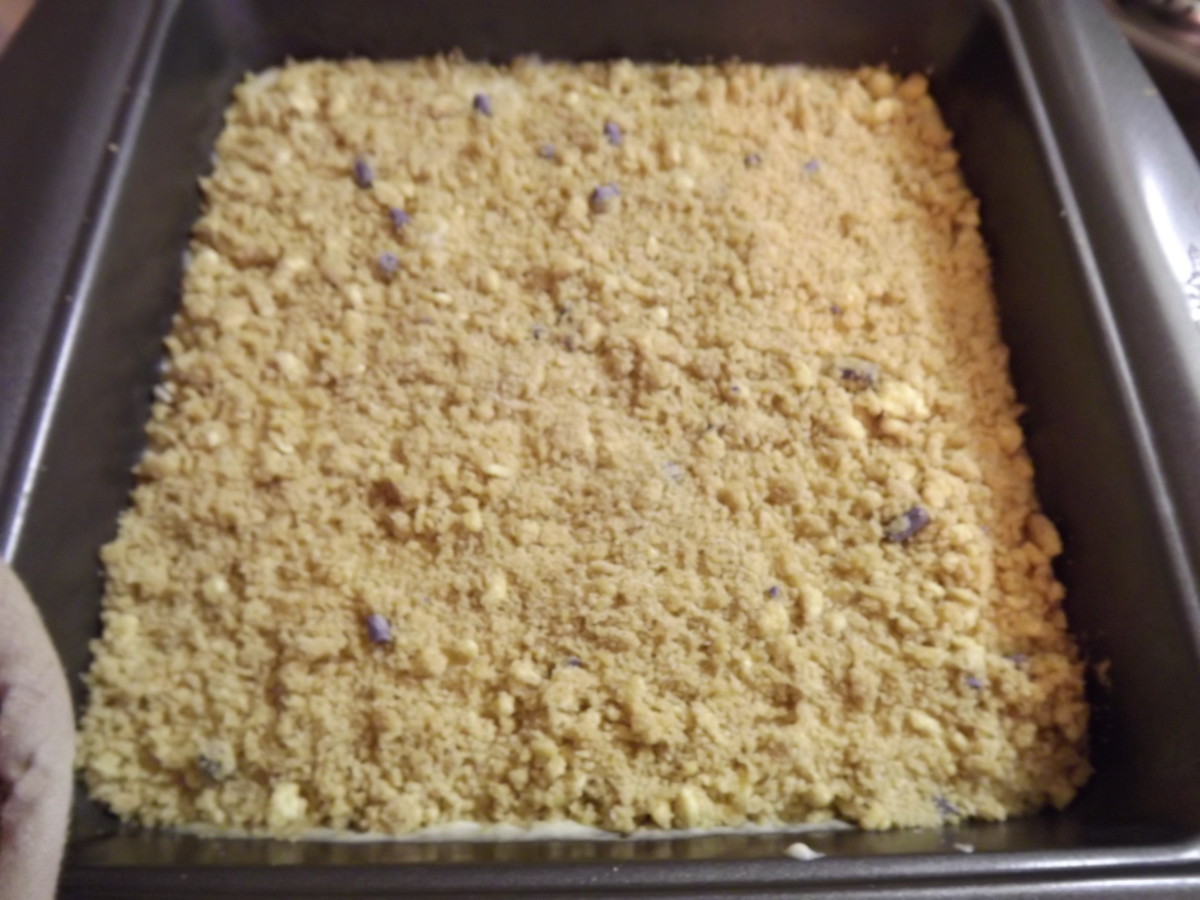The blueberry coffee cake is ready for the oven.