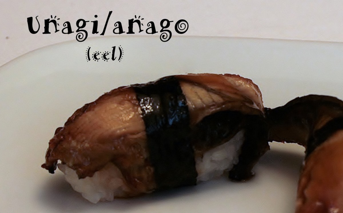 Unagi (freshwater eel) or anago (saltwater eel) nigiri