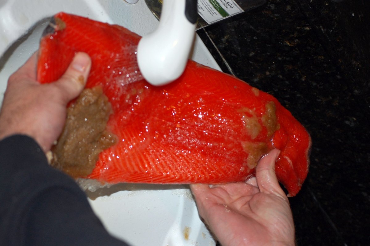Rinsing the brown sugar and salt brine mixture off the salmon.