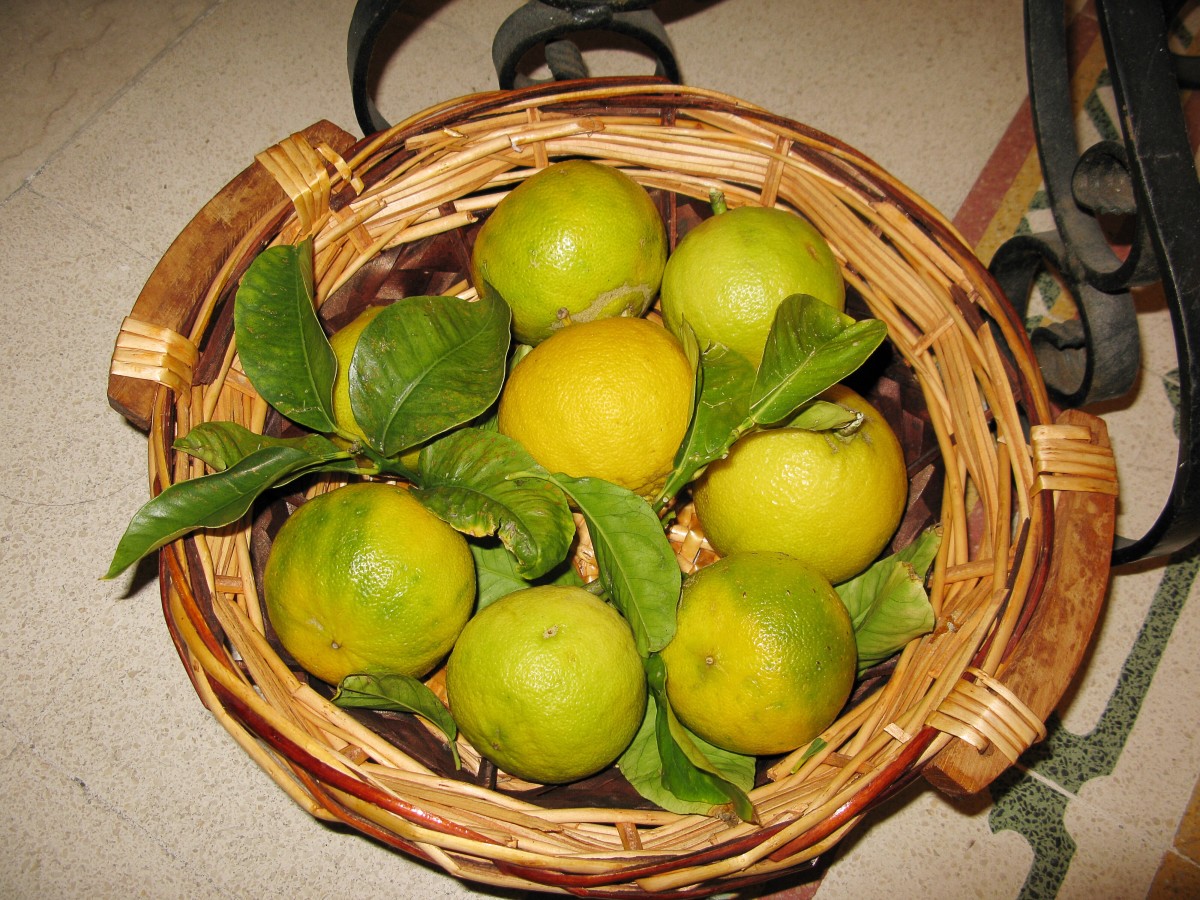 Bergamot oranges