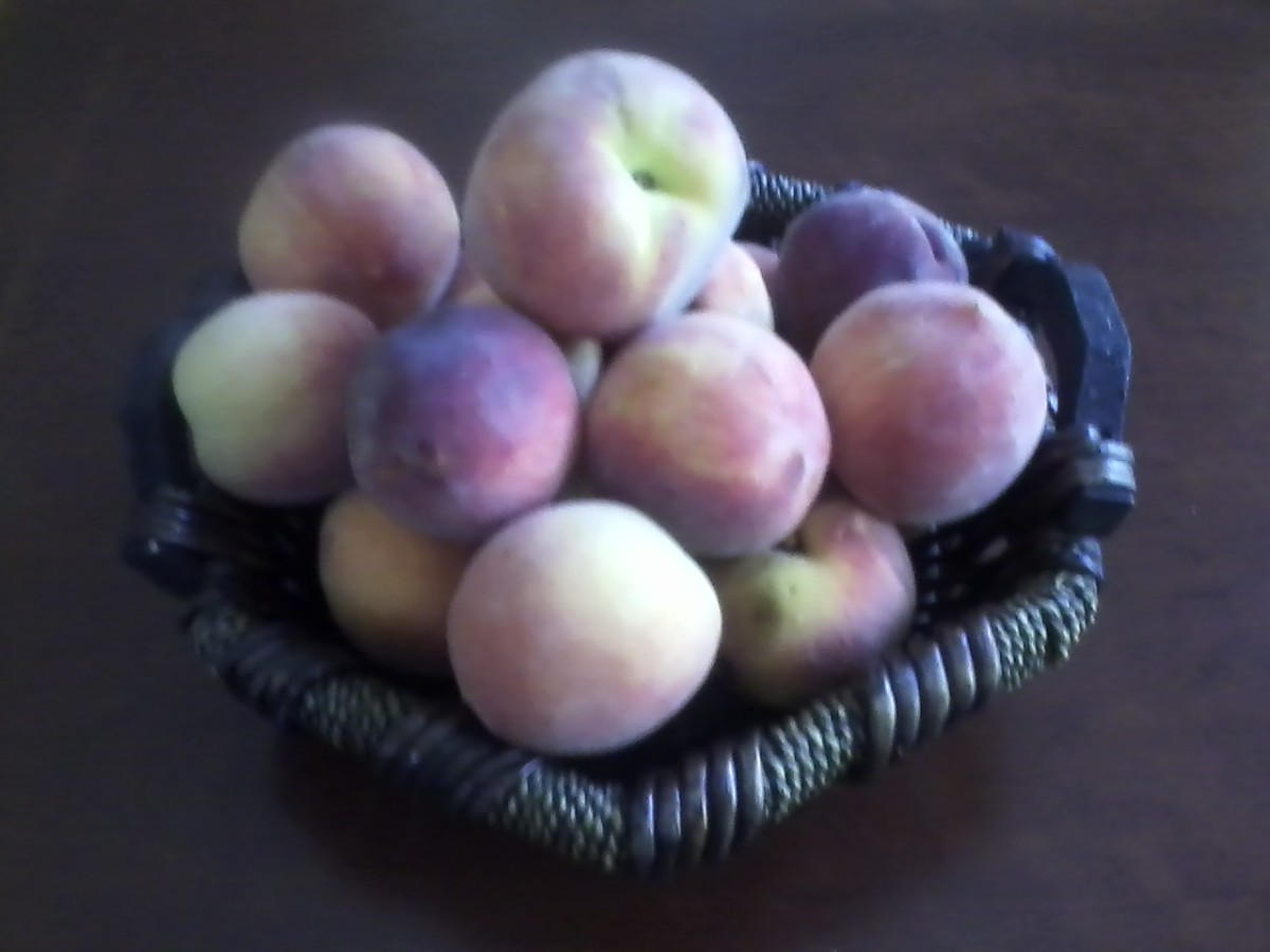 Simple One Crust Peach Pie Recipe Delishably Simple One Crust Peach Pie Recipe Delishably