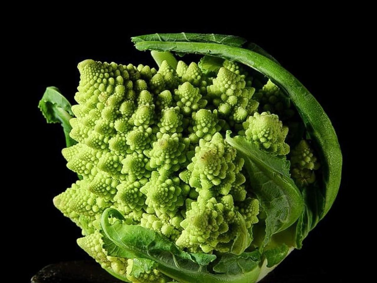 Romanesco broccoli or cauliflower 