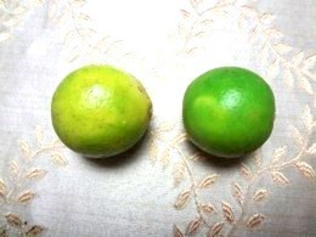 How to Make the Best Key Limeade Easy Recipes Delishably