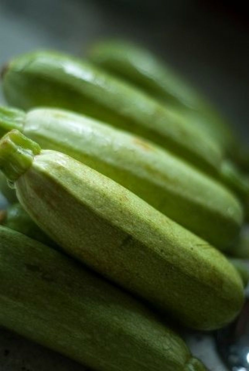 What to Do With Extra Zucchini? Delishably