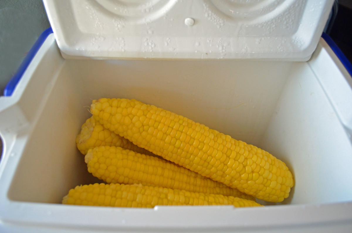 Voila—cooked corn in the cooler. It will stay perfectly warm for up to 2 hours with the lid on!