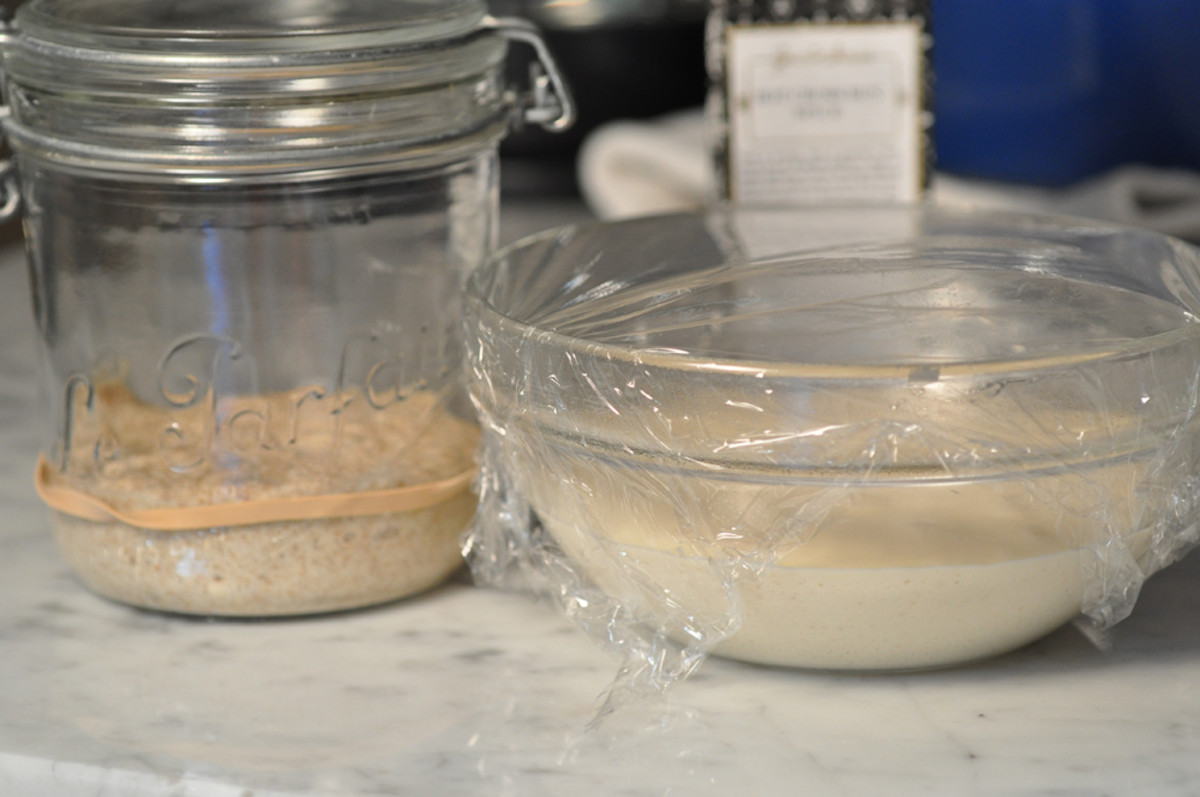 Sourough leaven (on left) and poolish (right) in early stages of development. Both will be more than doubled and bubbly when ready. Image: © Siu Ling Hui
