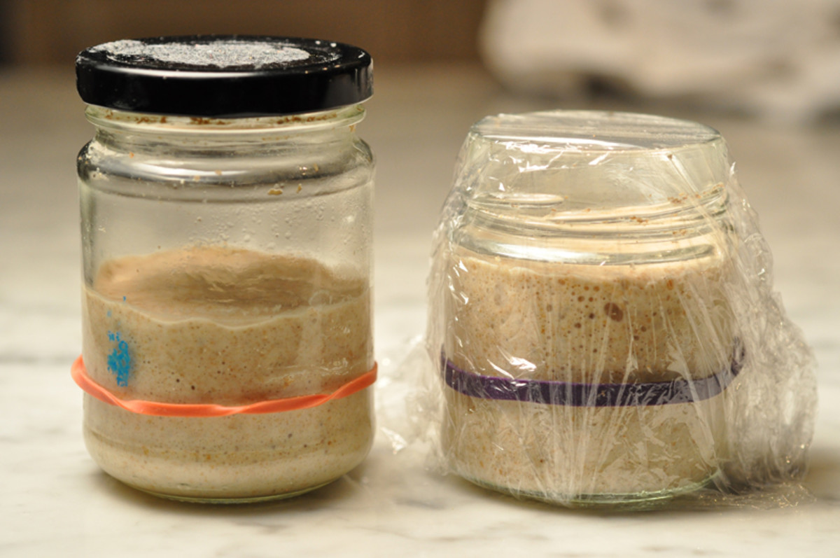 Two of my starters (about 4 hours after feeding). The starter on the LHS is fed with 10g each of bakers flour, semola, and light rye. The starter on the RHS is fed with 15g each of bakers flour and light rye. Image: © Siu Ling Hui