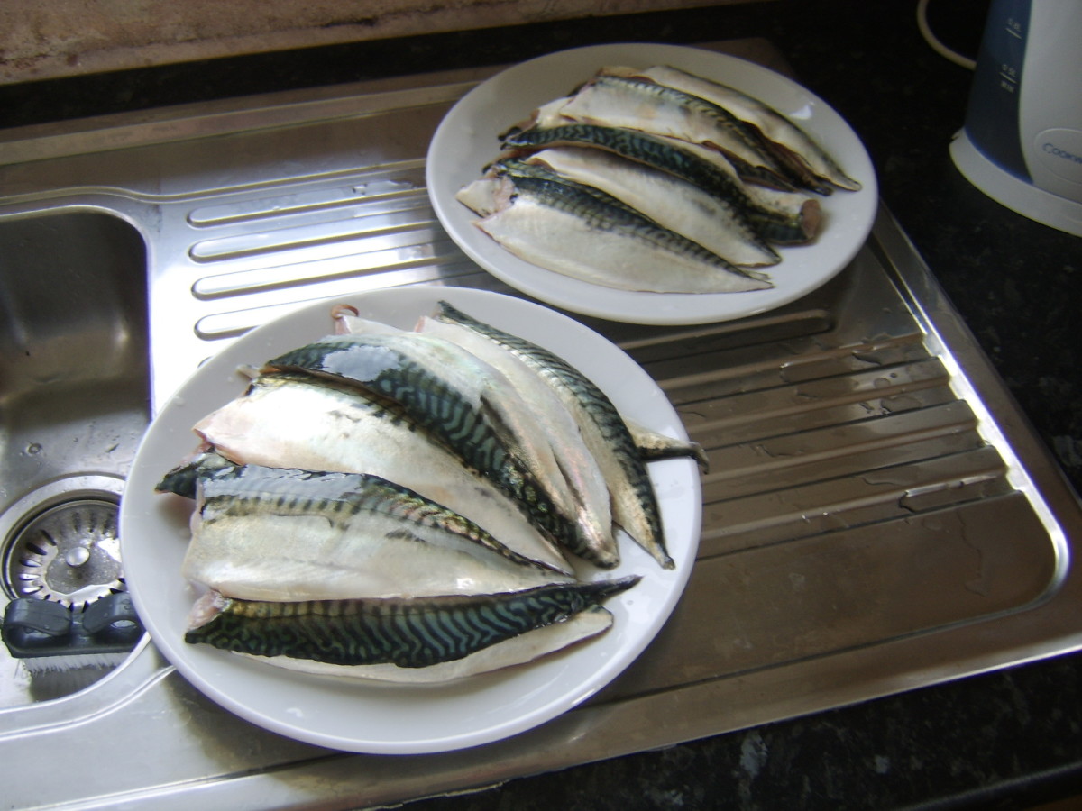 Mackerel fillets are washed and split in to batches depending upon size
