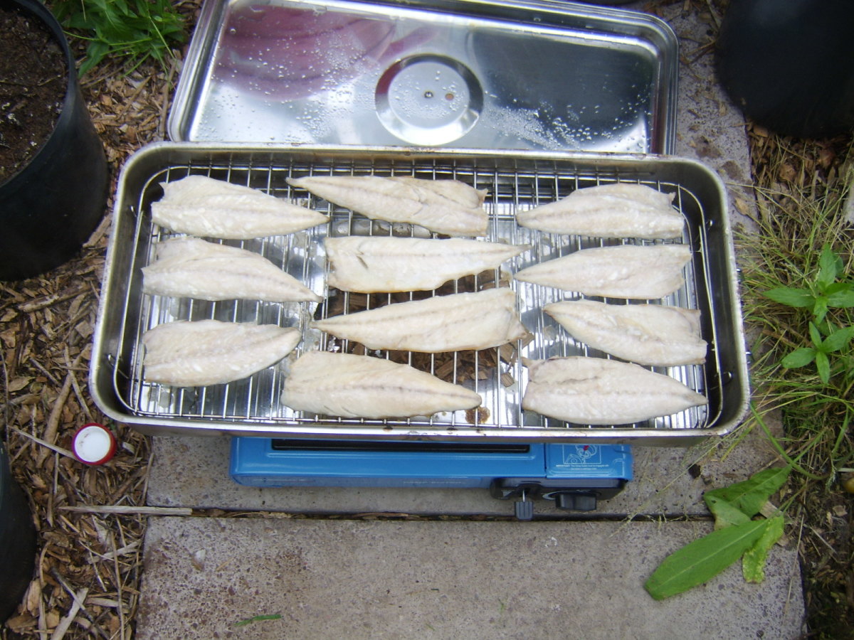 Mackerel fillets are smoked