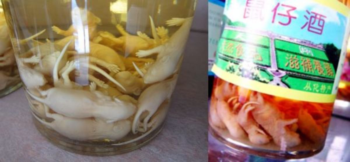 14 of the World's Most Disgusting and Challenging Foods - Delishably