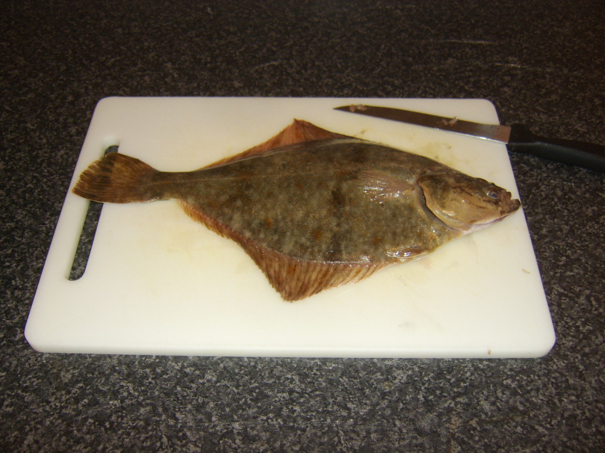 A whole flounder ready to be gutted and cleaned