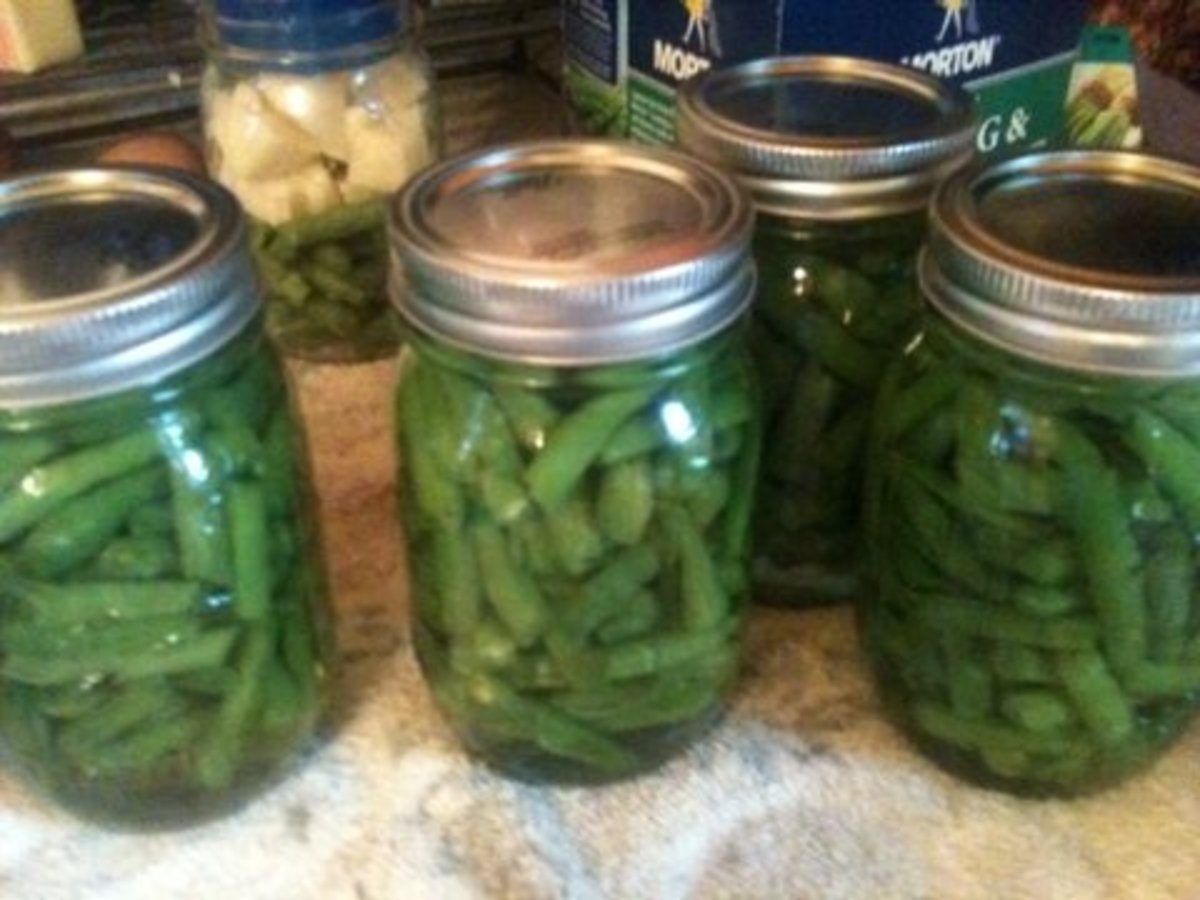 How to Can Green Beans at Home in a Pressure Canner - Delishably